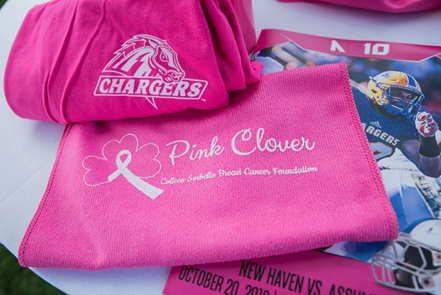 Pink Clover Foundation items